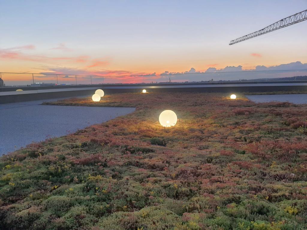 WhatsApp Image 2021-07-08 at 10.41.17 (1)